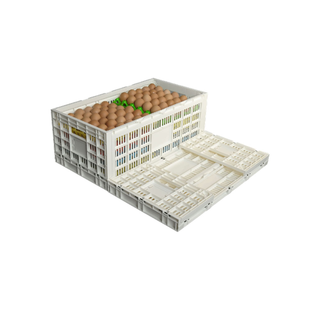 Quanyun Folding basket, egg basket, plastic turnover basket HBQY6333257W