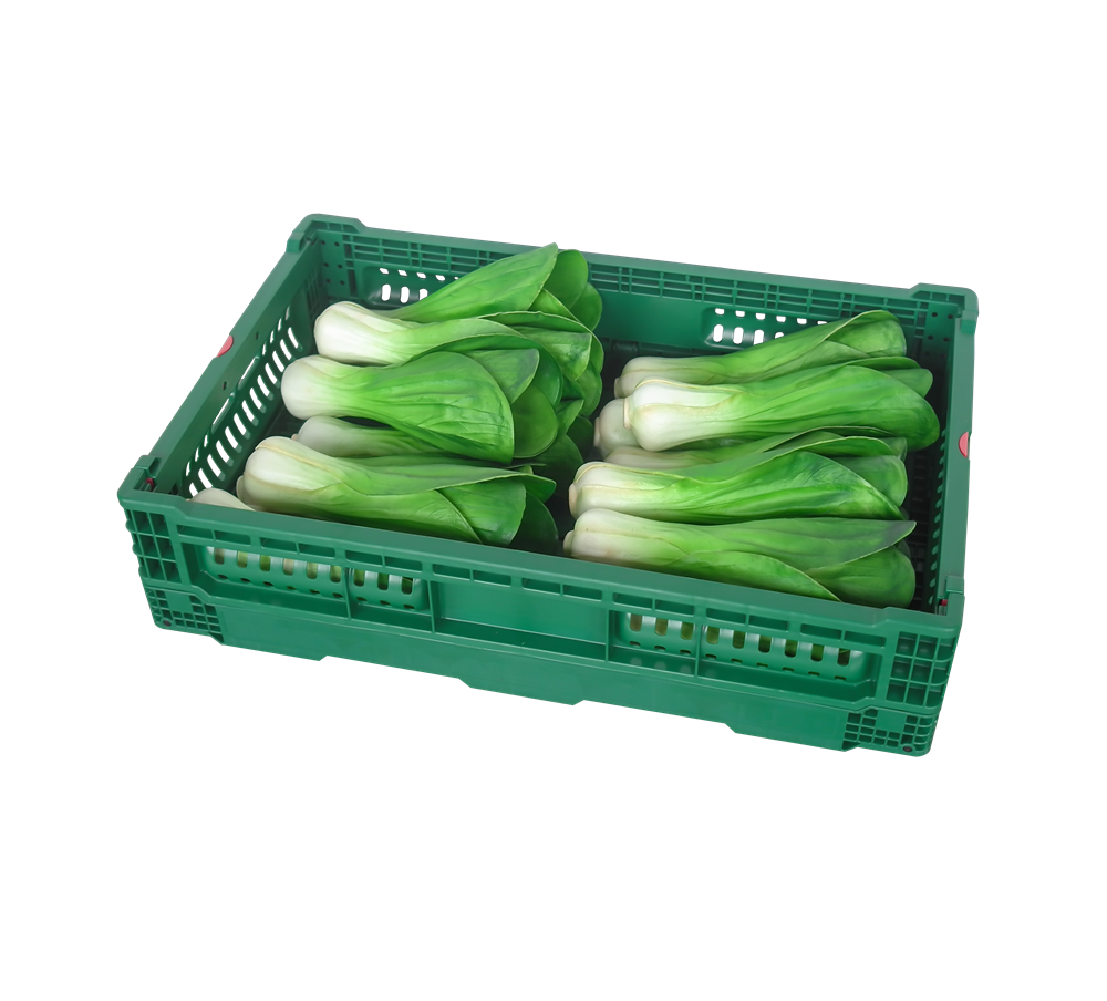 QUANYUN foldable plastic fruit vegetable crate mesh basket farm transport storage use KN604014W-HS