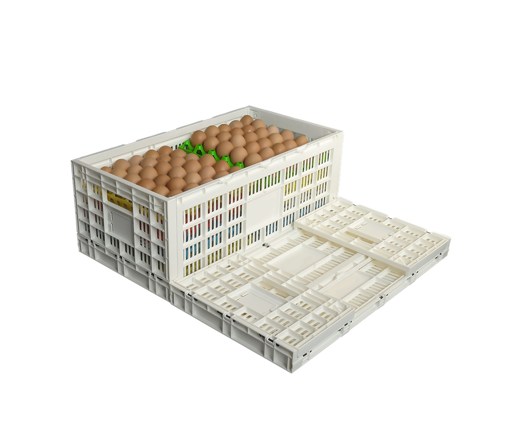 QUANYUN Recyclable PP Plastic Containers Stylish Mesh Design Egg Baske KS6333257W