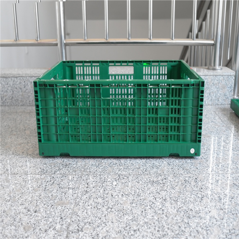 QUANYUN  Convenient PP Plastic Folding Fruit Container Crate Storage TY604021W-S
